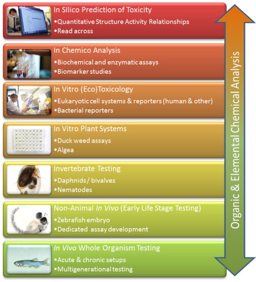 research topics in management studies